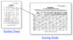 multiplication assessment tool: student sheet